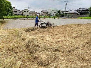 集草作業