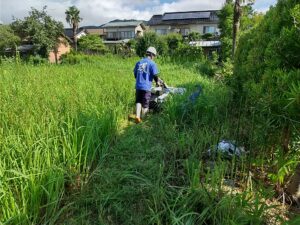 除草作業