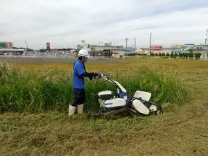 除草作業