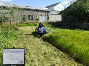 除草作業